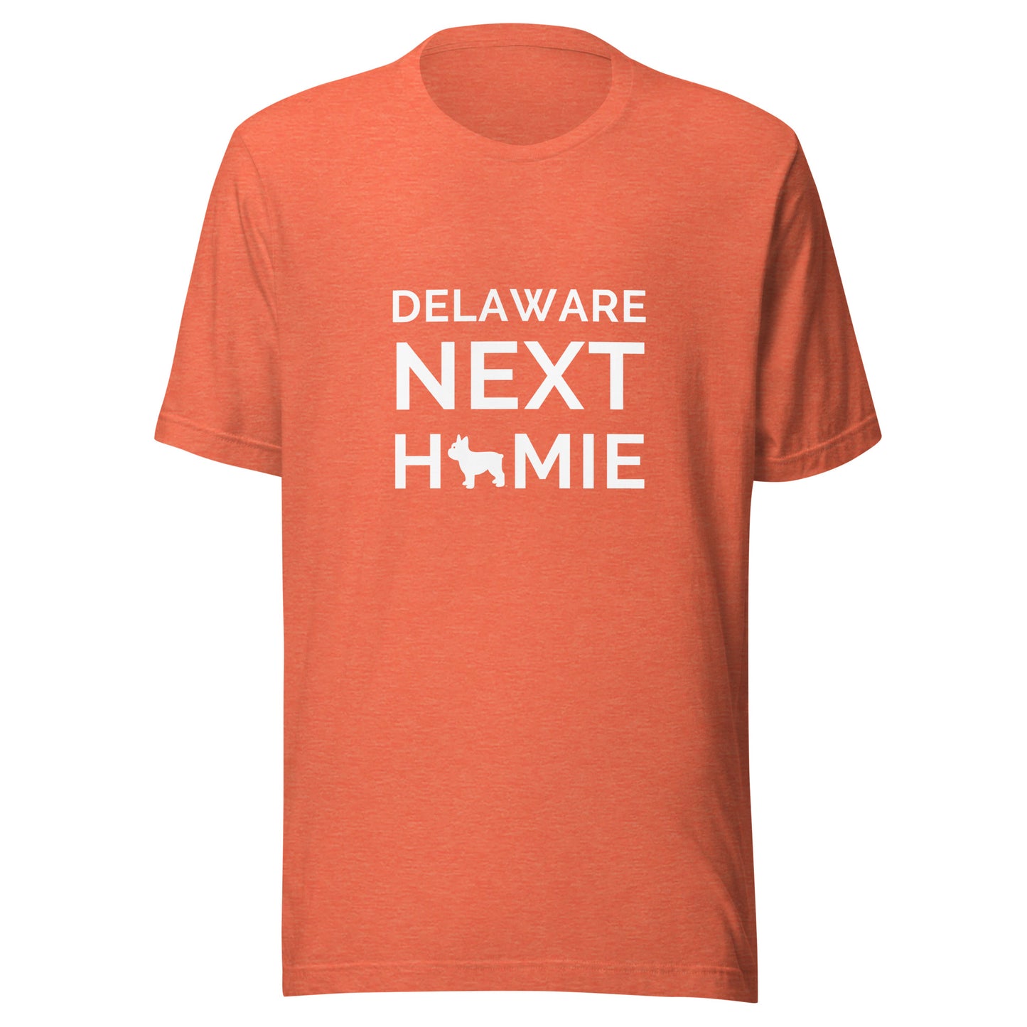 Delaware NextHomie Unisex t-shirt